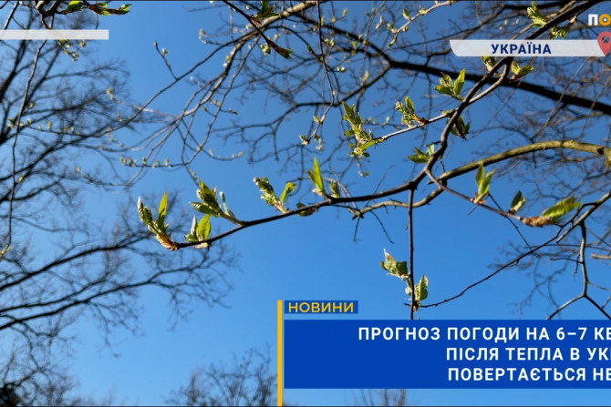 Погляд — новини Київщини онлайн - a1794cdd-f705-4d67-b209-1d36cbca490c - зображення